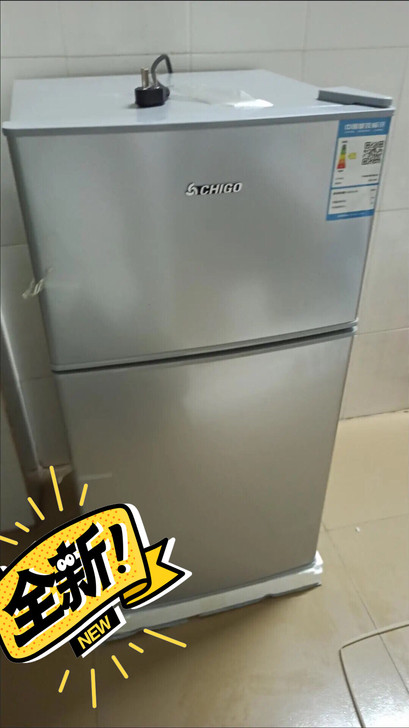 工厂甩卖 100台特价小型冰箱冷冻冷藏 宿...