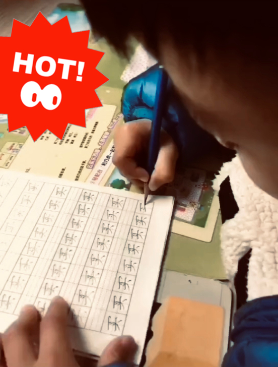 拼课 三年H小象写字课【启蒙+初级+中级+...