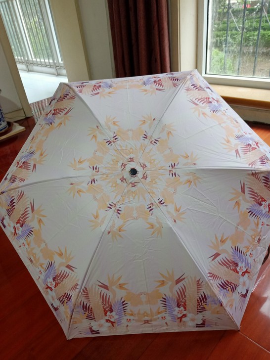 拉贝儿晴雨伞，三折折叠伞，全新 专柜正品，...