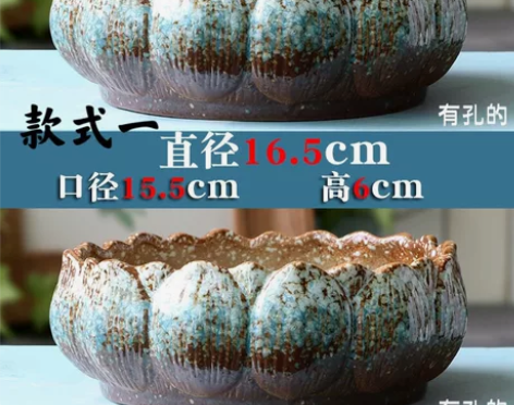 2个大口径多肉花盆组合拼盘仅22.5元,透...