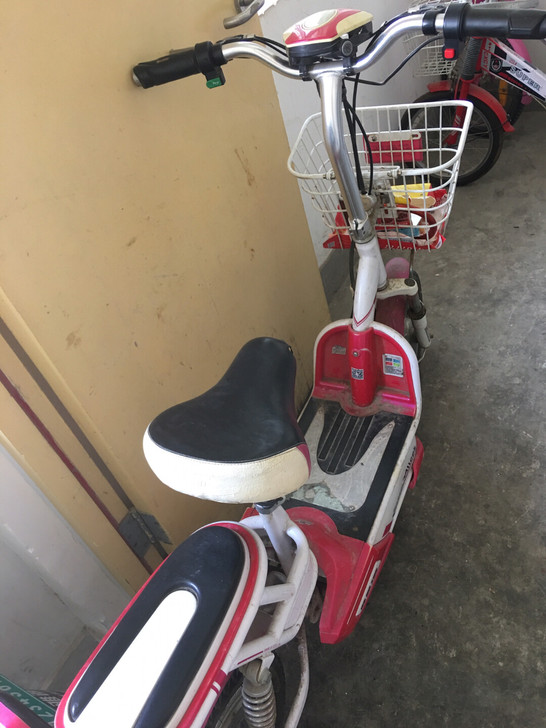 自用电瓶车,爱丽丝品牌。发票车牌都有,60...