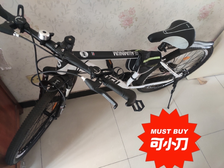 买了一只放着就没怎么骑。