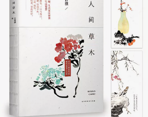 人间草木 散文书籍 散文 集 汪曾祺 经...