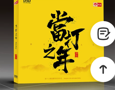 天艺唱片合辑《当打之年》DSD车载发烧音乐...