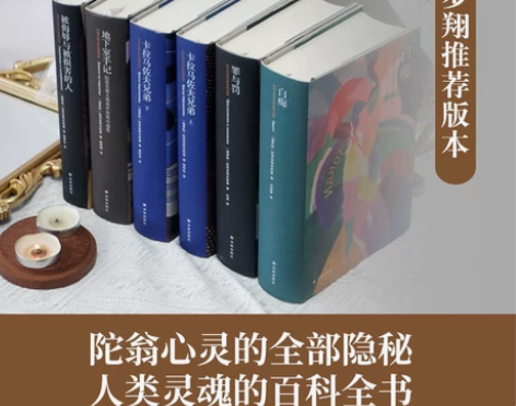 罪与罚原版 陀思妥耶夫斯基精选文集全集 汝...