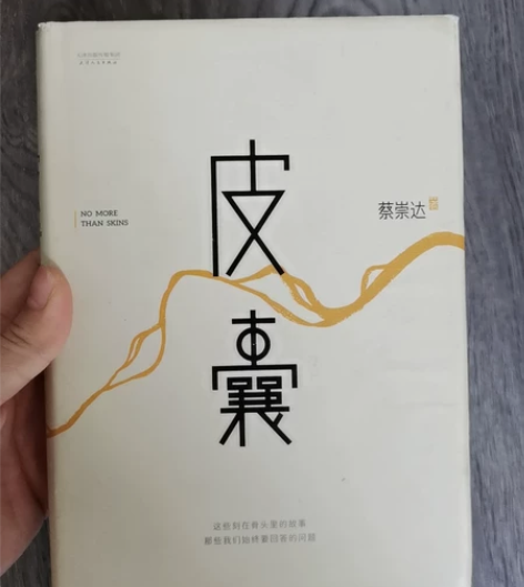 皮囊蔡崇达作品 中国现当代随笔小说长篇散文...