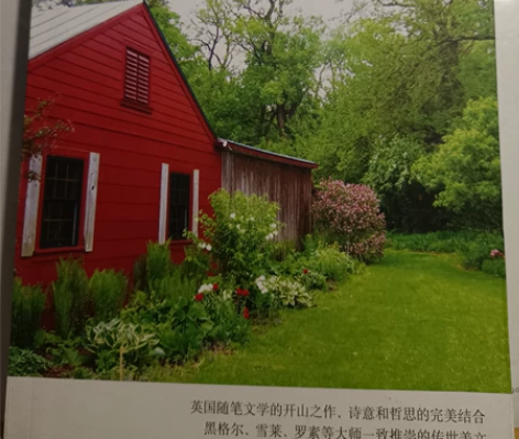 培根随笔(全译本) 有点小旧（指书页泛黄）...