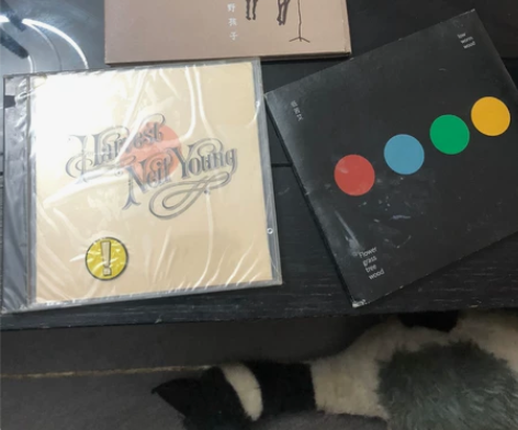 出3张绝版cd野孩子低苦艾尼尔杨 1. 低...