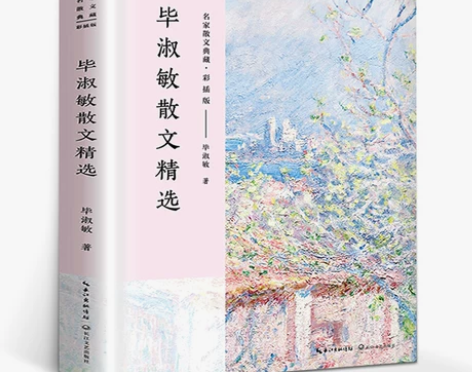 毕淑敏散文集 正版 毕淑敏著 毕淑敏的书