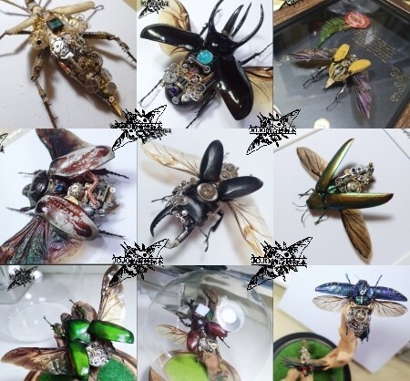 【尾款】蒸汽朋克机械昆虫 甲虫标本定制感兴...