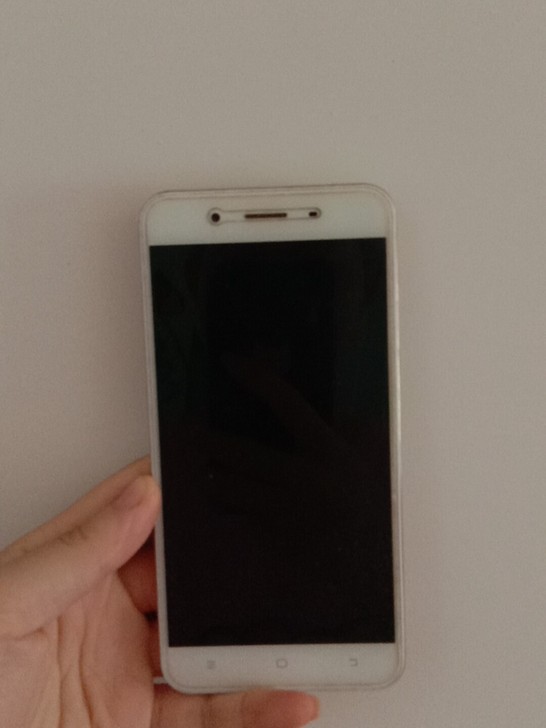 型号是vivo  Y66L  可以当备用机