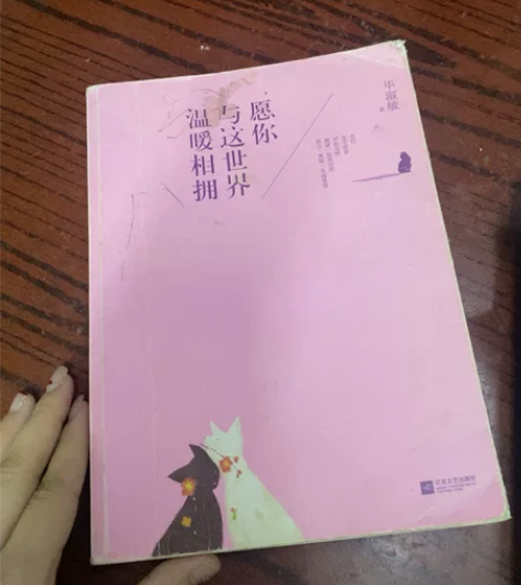 愿你与这世界温暖相拥 毕淑敏 除了书皮旧些...