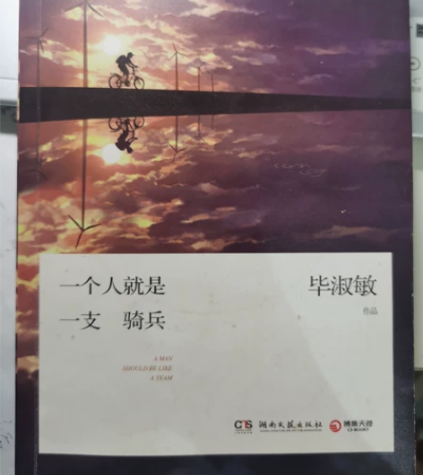 《一个人就是一支骑兵》毕淑敏 适合青少年阅...