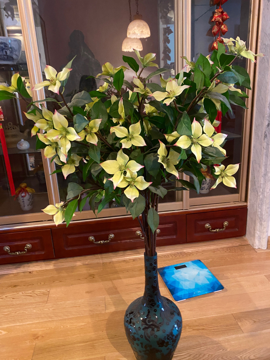 花瓶和花，有眼缘的来，售出不退换，仅自提
