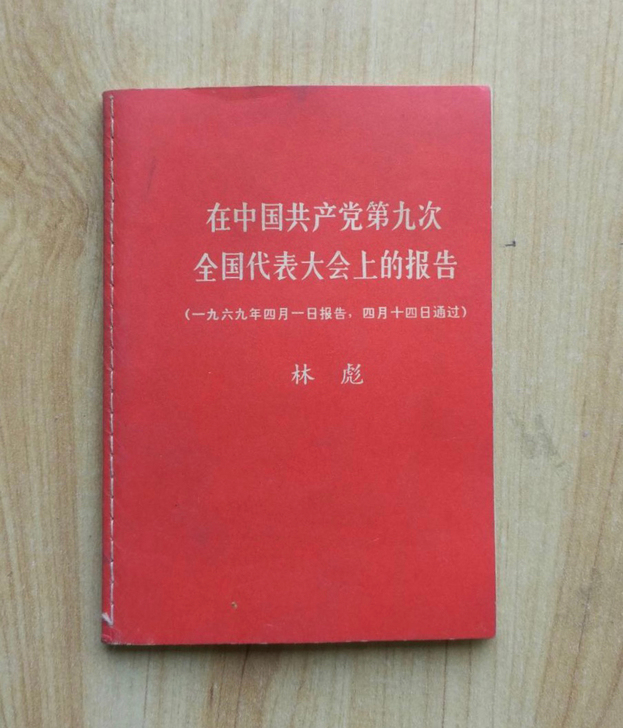 林滮 在中国共产党第九次全国代表大会上的报...