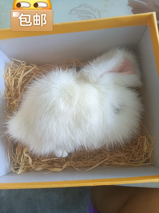 存貂毛小兔子朋友花花210元买的送我，在家...