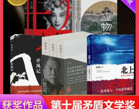 第十届茅盾文学奖获奖作品全9册 人世间 梁...