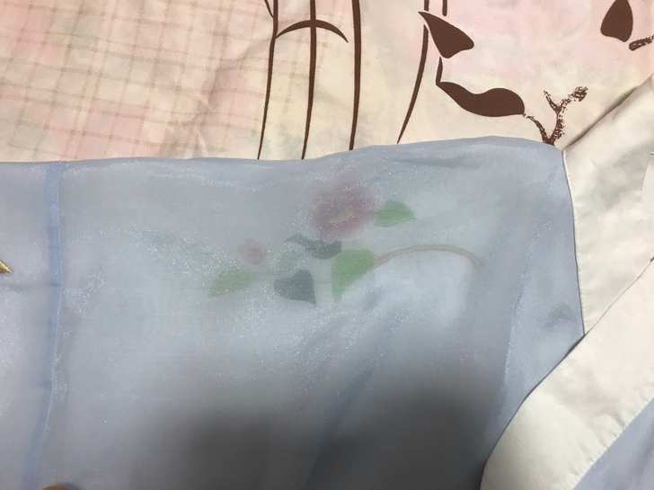 十三余小豆蔻交领绣花上衣