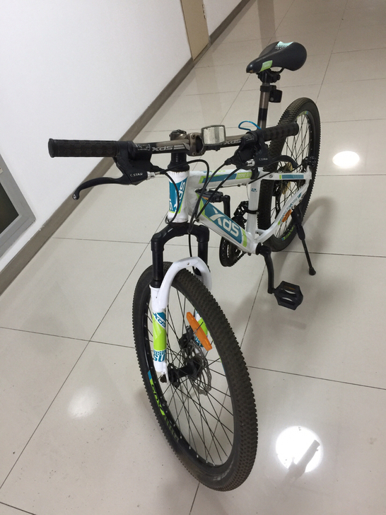 闲置一辆XDS300喜德盛变速山地自行车，...