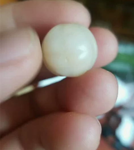 玉雕龟甲，2.0，玉质细腻温润，包浆浑厚自...