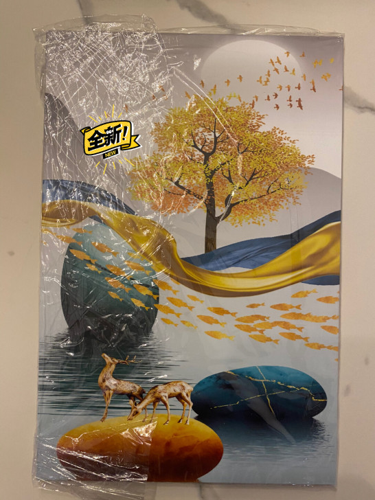 200*300无框画。便宜出了,江浙沪包邮