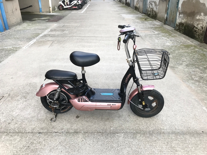 绿源电动车 48复 新换的电瓶 ...