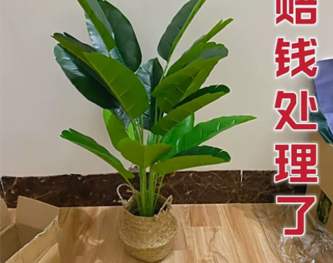 【赔钱处理】送花篮北欧客厅仿真绿植天堂鸟绿...