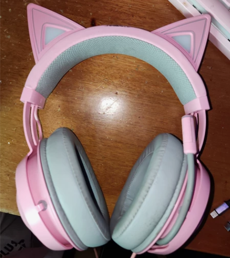 出一个雷蛇北海巨妖萌猫版2118批次 此批...