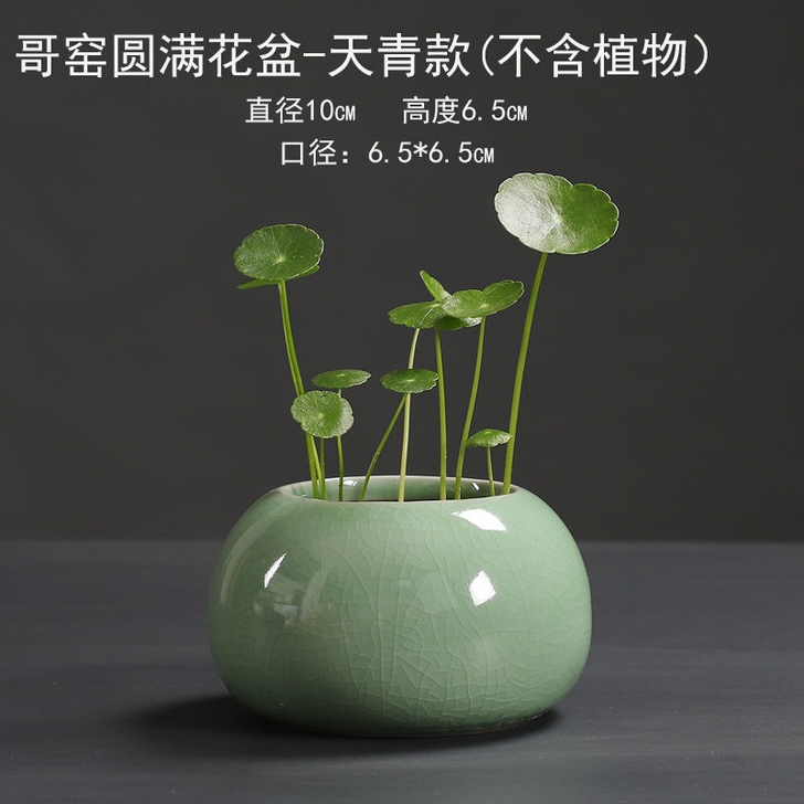 水培植物花瓶陶瓷陶器