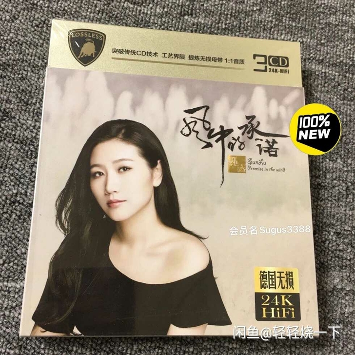 孙露 试音女声，风中的承诺 国语歌曲经典老...