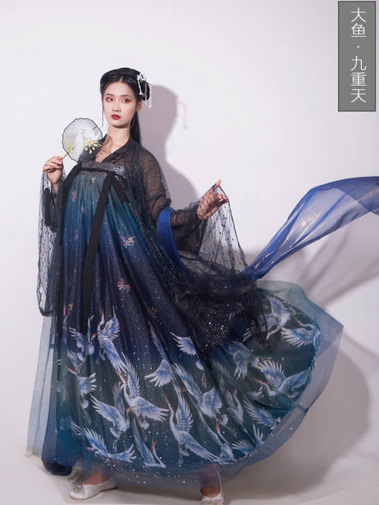 大鱼向南九重天新品汉服女齐胸襦裙日常汉服中...