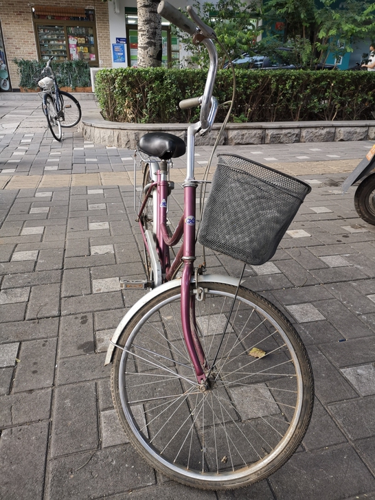 24女式轻便自行车没有任何毛病,非常好奇