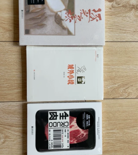 文学小说逐光之旅、巴金域外小说、生肉全新带...
