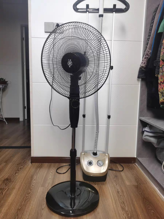 【只有50台！】电风扇家用落地扇大风立式工...