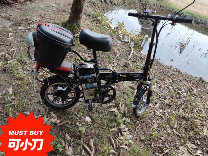 上海凤凰牌折叠锂电池电动车，48V12安！...