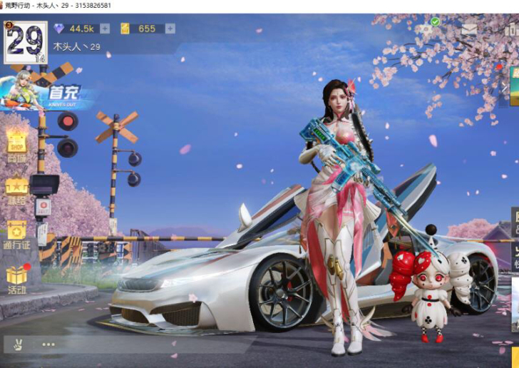 永恒金车 带金币荒野行动PC端邮箱登陆账号...
