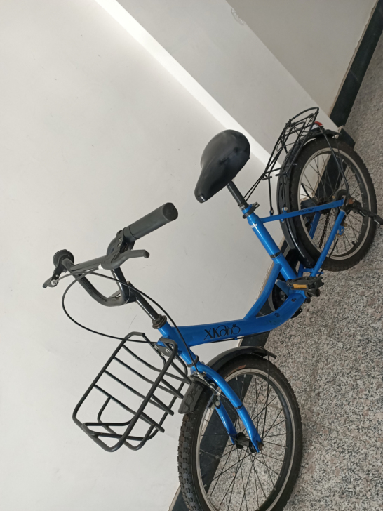 飞鸽 蓝色自行车 九成新以上 试骑了两次 ...