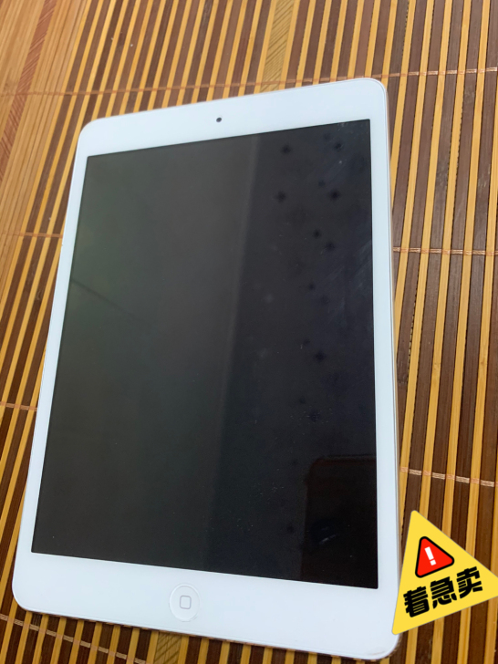 iPad mini