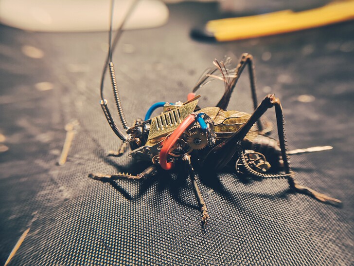 蒸汽昆虫，朋克蝈蝈标本（只接预定，特殊原因...