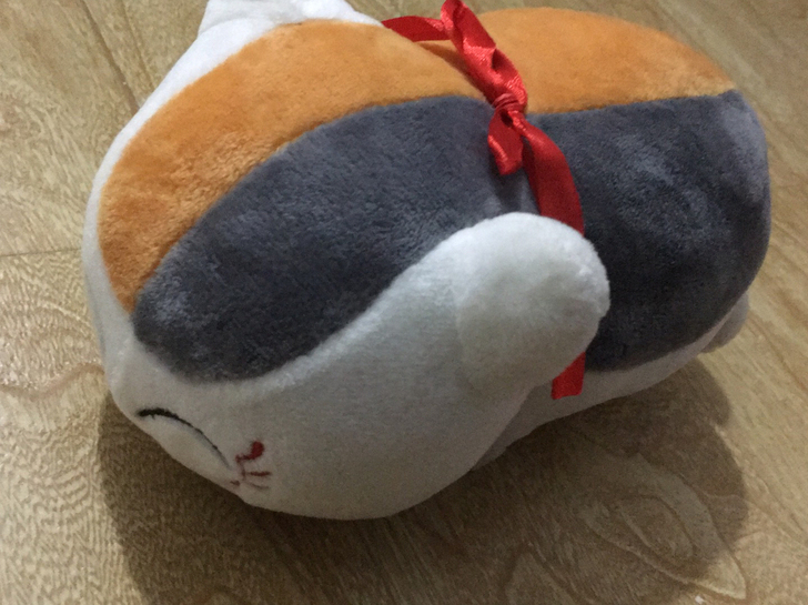 猫老师小公仔玩偶
