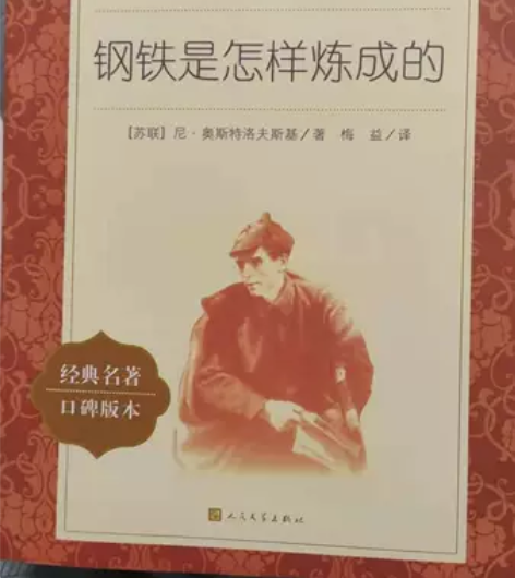 钢铁是怎样炼成的傅雷家书两本赠考点人文版八...