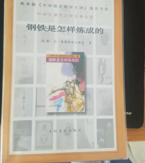 钢铁是怎样炼成的 图书 人民文学出版社（有...