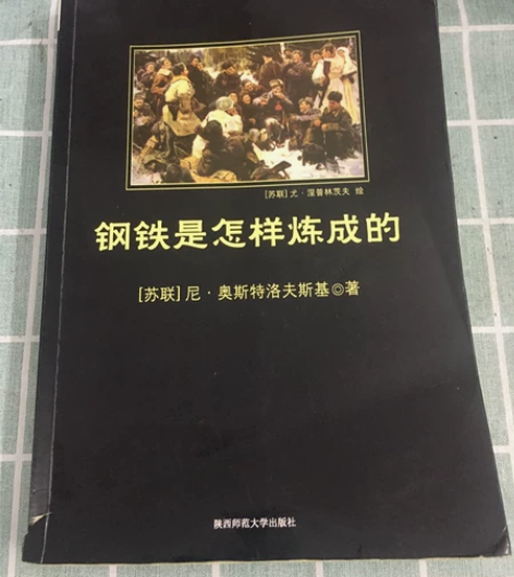 初中必读书目《钢铁是怎样炼成的》 中考阅读...
