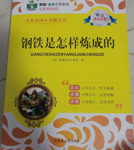 奥斯特洛夫斯基著作《钢铁是怎样炼成的》，初...