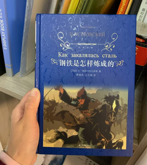 书名:钢铁是怎样炼成的/小时代2.0虚铜时...