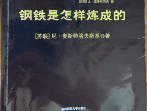 初中生必备两本格列佛游钢铁是怎样炼成 感兴...