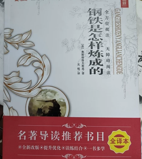 钢铁是怎样炼成的初中 原著版无删减全译本 ...