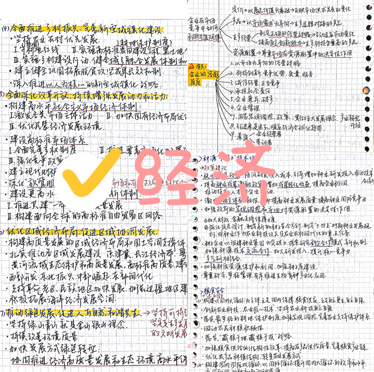 高中政治笔记