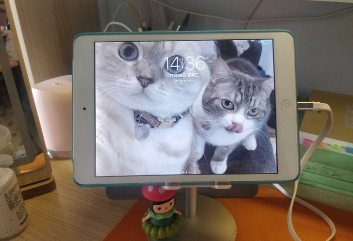 ipadmini2 之前看网课的