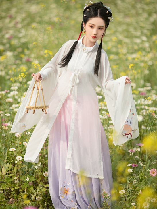 宿问月兔汉服女白菜正品原创明制立领对襟长衫